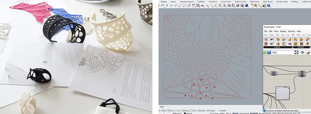 BIROI parametric design study